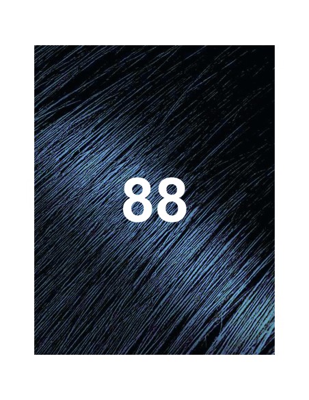 Bigen 88 Negro Azulado 6G