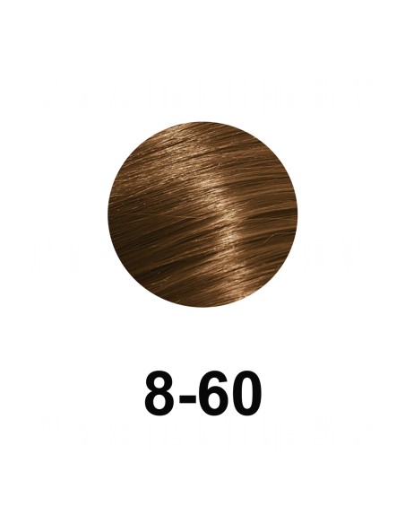 Schwarzkopf Igora Royal Absolutes 60ml  Color 8-60