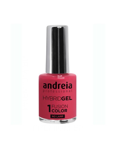 Andreia Hybrid Gel Fusion Color H67