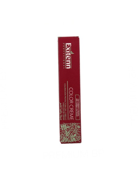 Exitenn Color Creme 60ml, Color 10 Vo Morado Atardecer