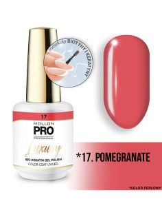 Mollon Pro Luxury Color Coat 17 8ml