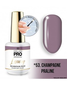 Mollon Pro Luxury Color Coat 53 8ml